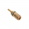 CONECTOR RAPIDO GAS HEMBRA
